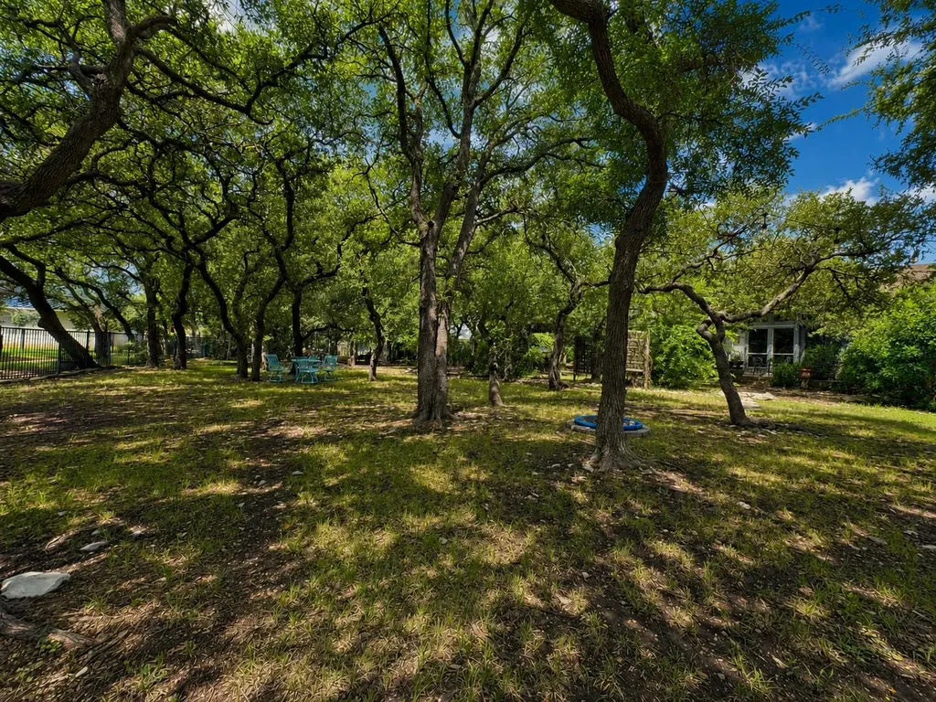 1007 Kieran Cove Georgetown TX 78628