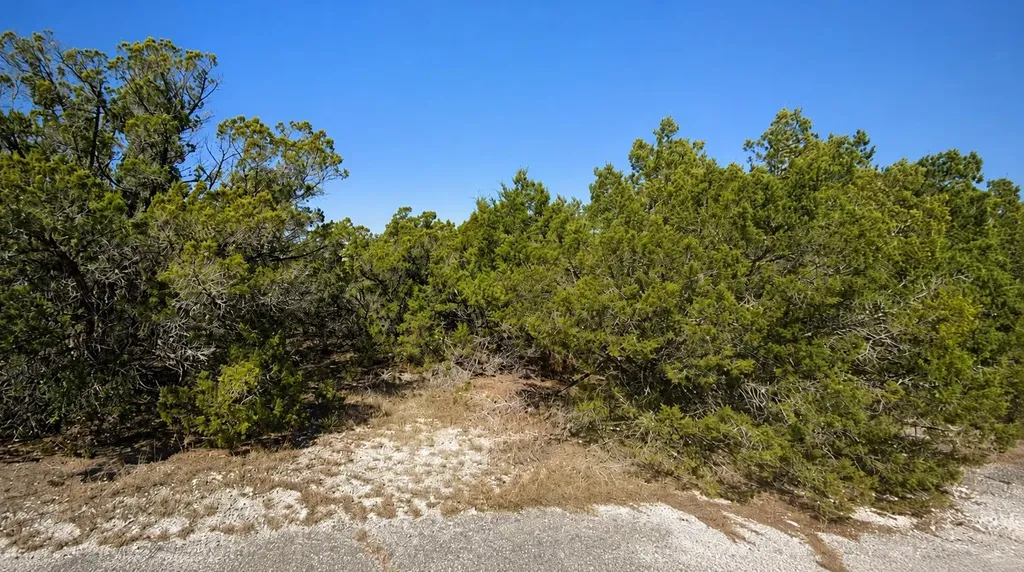 8404 Angus Trail Leander TX 78645