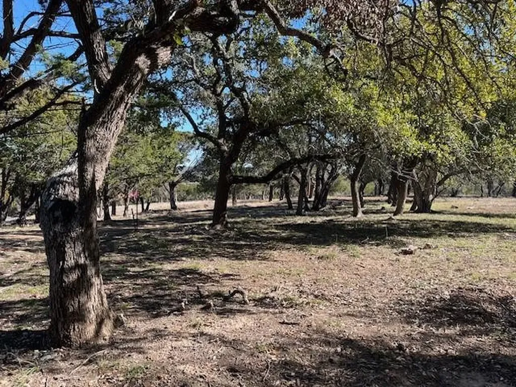 00 Old Red Ranch Road Dripping Springs TX 78620
