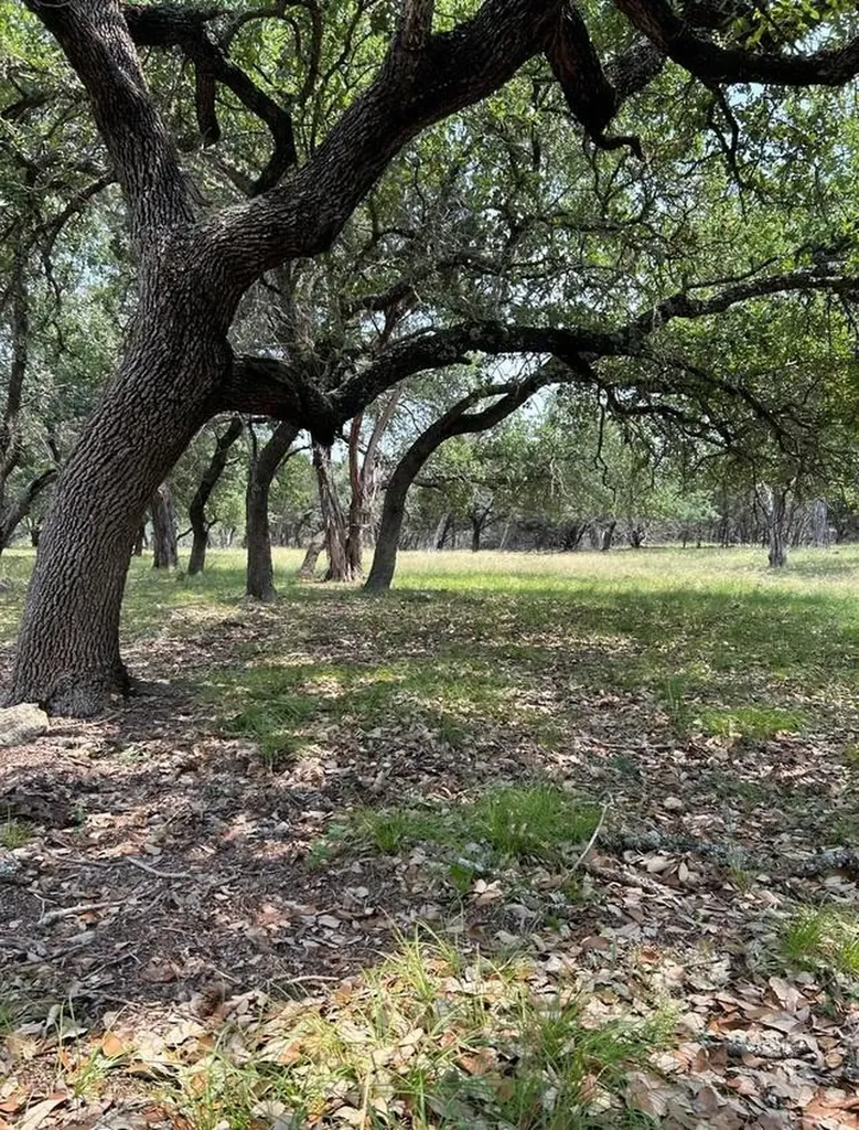 00 Old Red Ranch Road Dripping Springs TX 78620