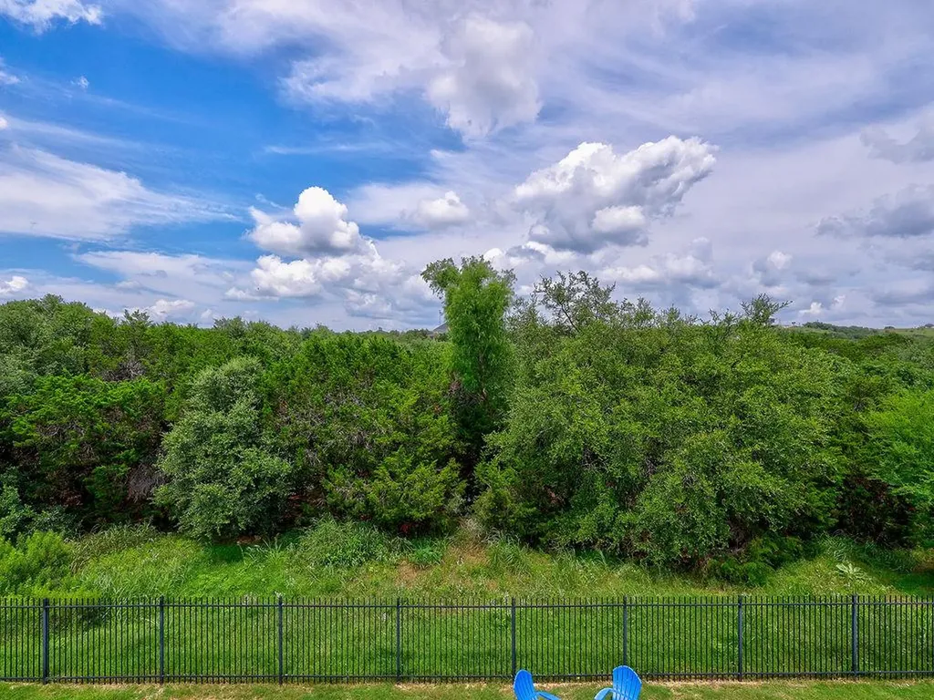 5117 Texas Bluebell Drive Spicewood TX 78669