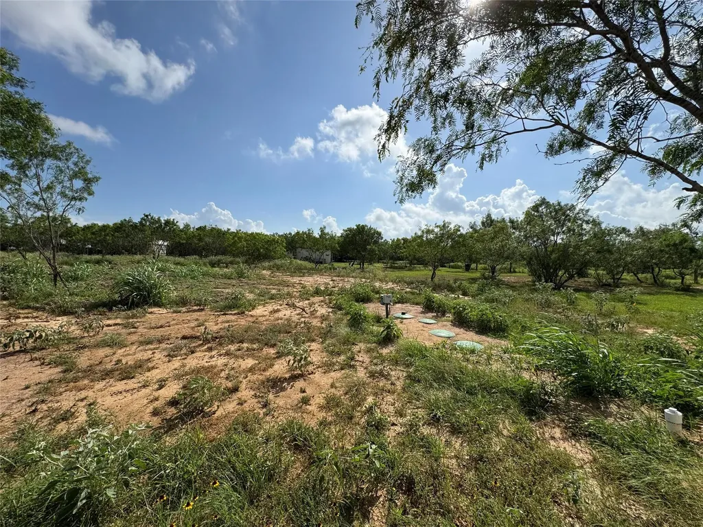 2601 Tumbleweed Trail Dale TX 78616