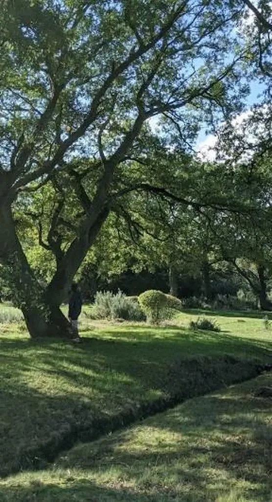 501 Texas Sky Drive Georgetown TX 78628