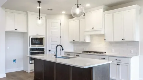 241 Sheepdog Drive Liberty Hill TX 78642