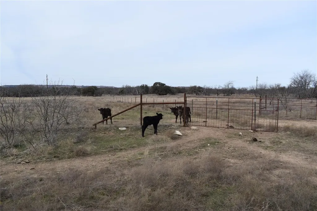 3619 N Fm 1702 Hamilton TX 76531