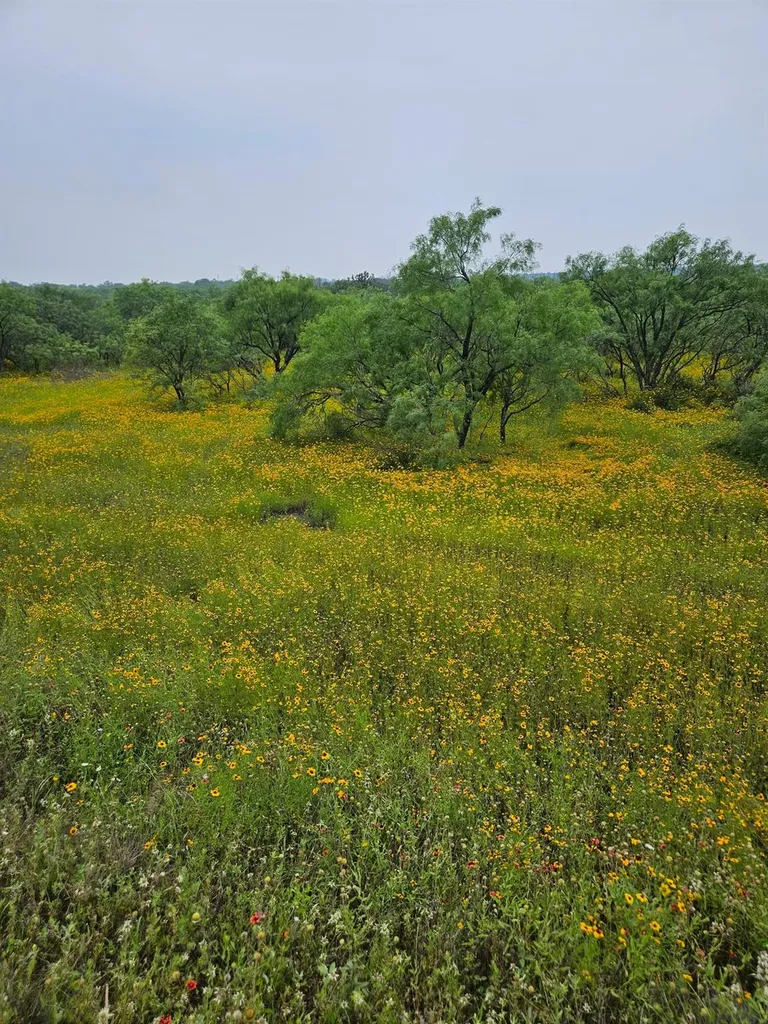 6990 County Road 246 Richland Springs TX 76871