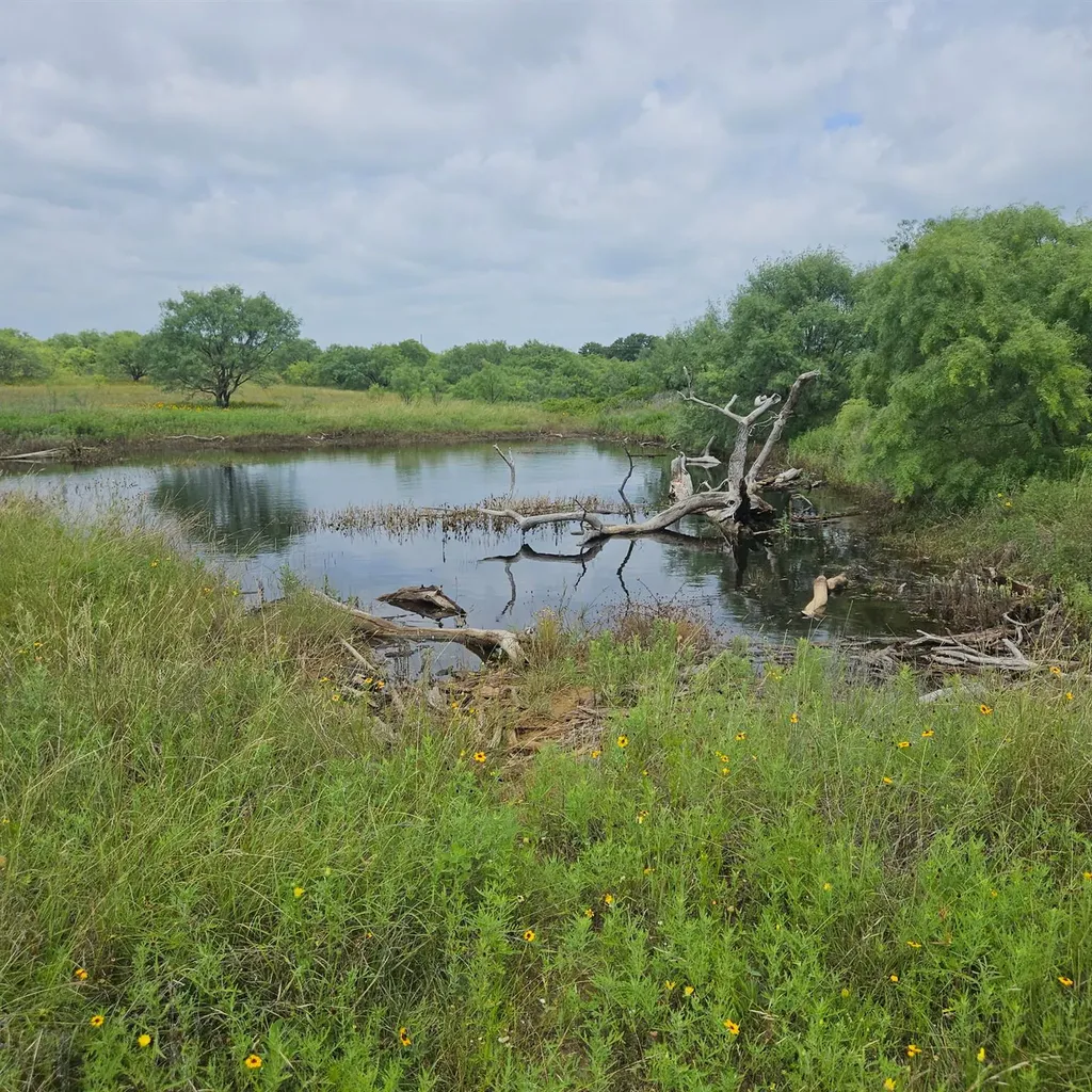 6990 County Road 246 Richland Springs TX 76871