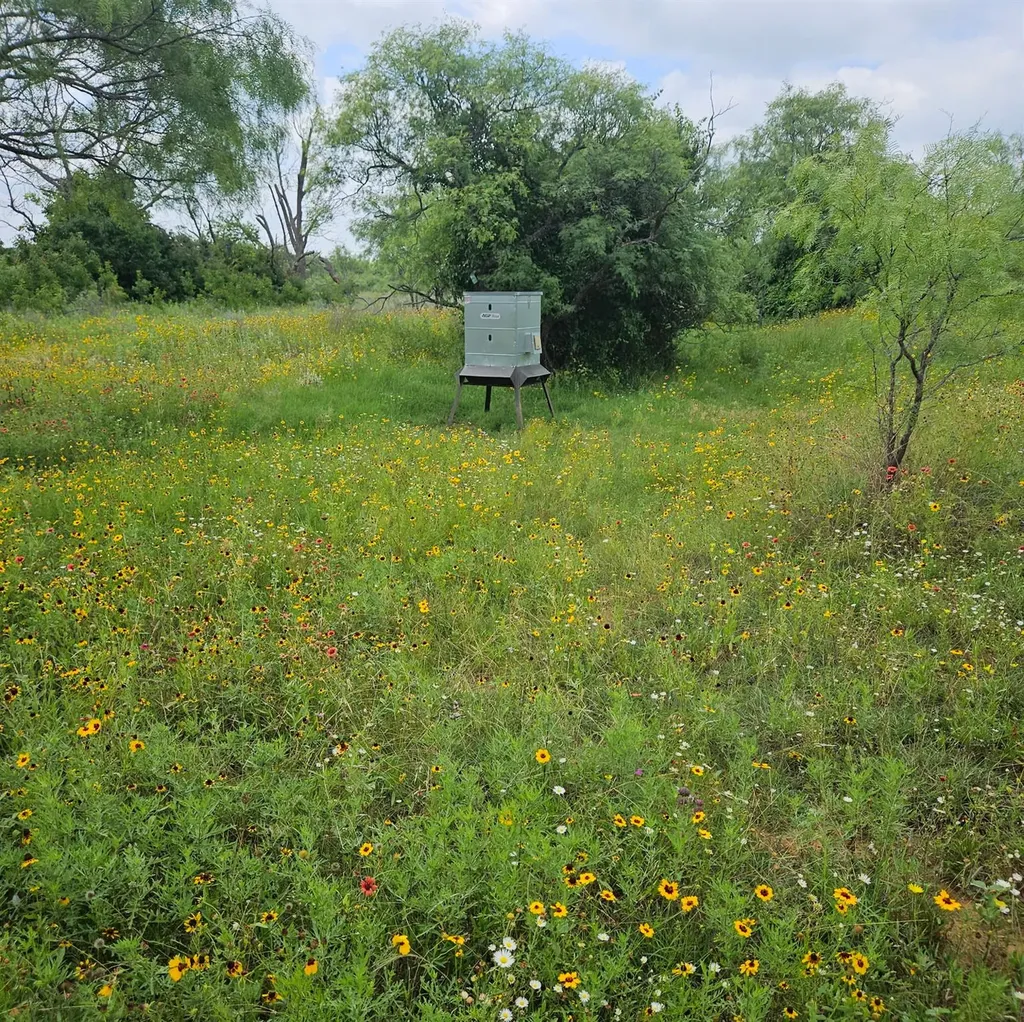 6990 County Road 246 Richland Springs TX 76871