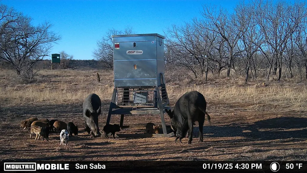 6990 County Road 246 Richland Springs TX 76871