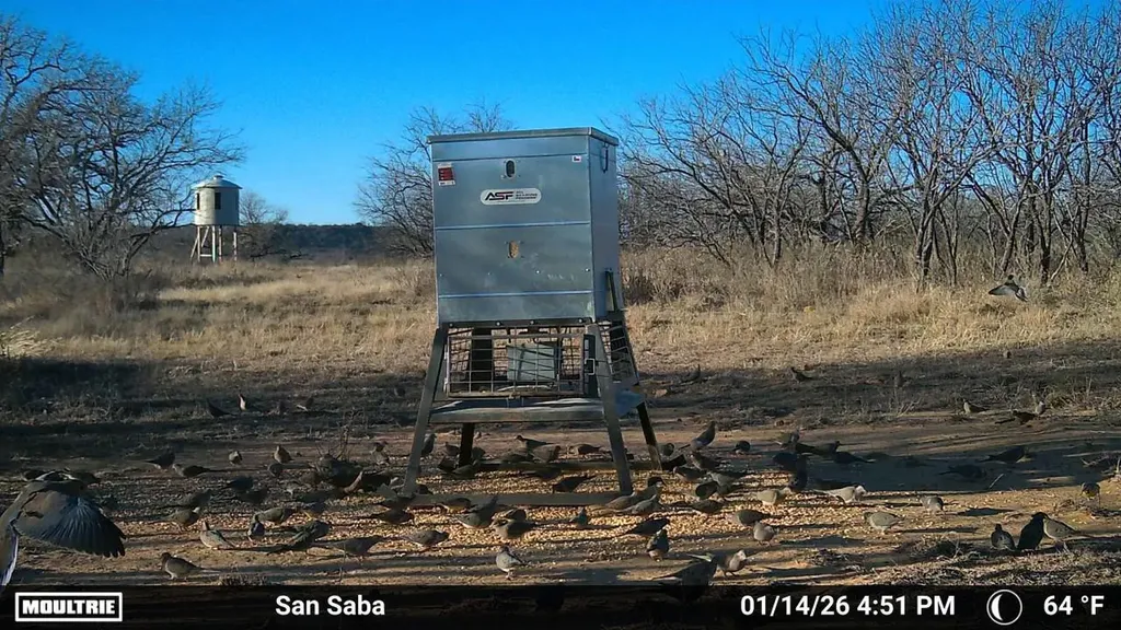 6990 County Road 246 Richland Springs TX 76871