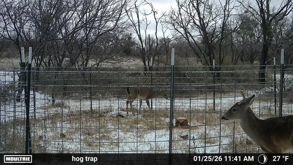 6990 County Road 246 Richland Springs TX 76871
