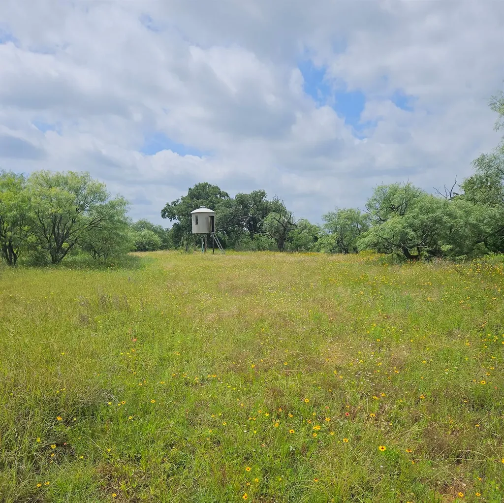 6990 County Road 246 Richland Springs TX 76871
