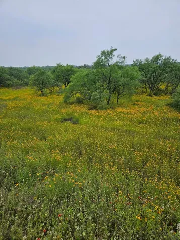 6990 County Road 246 Richland Springs TX 76871