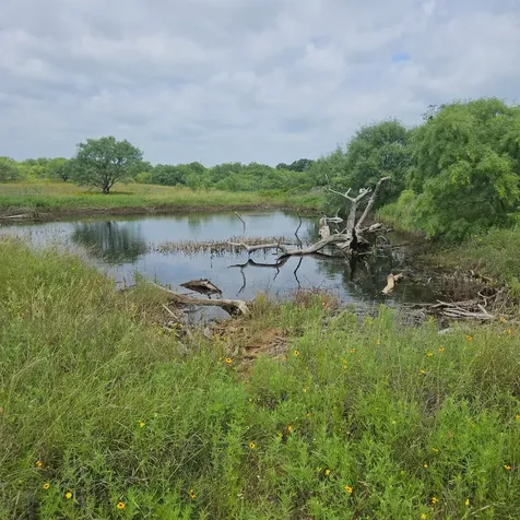 6990 County Road 246 Richland Springs TX 76871