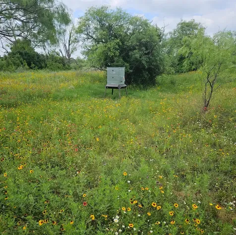 6990 County Road 246 Richland Springs TX 76871