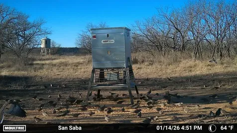 6990 County Road 246 Richland Springs TX 76871