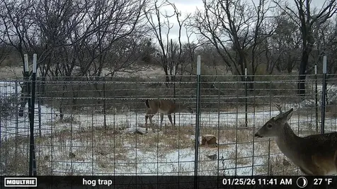 6990 County Road 246 Richland Springs TX 76871