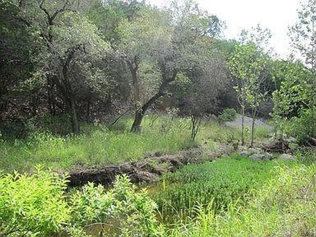 350 Bluff Road Spicewood TX 78669