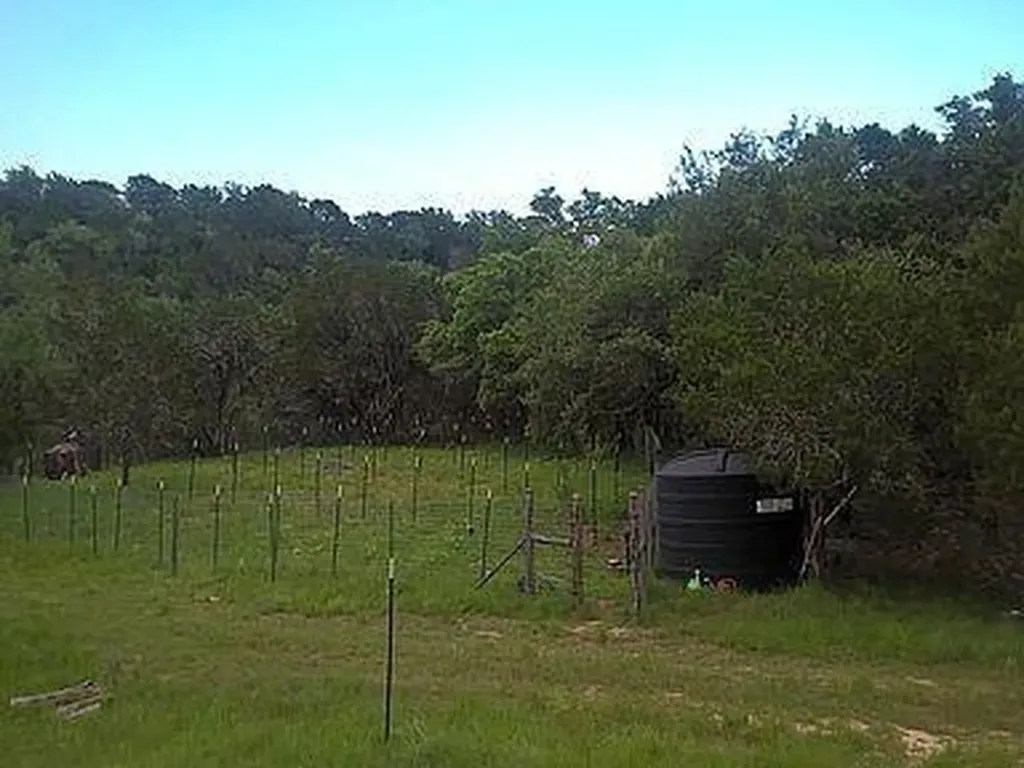 350 Bluff Road Spicewood TX 78669