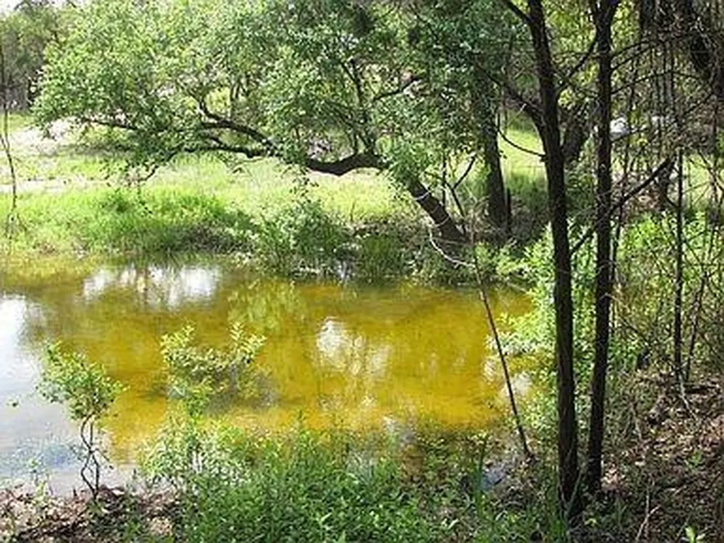 350 Bluff Road Spicewood TX 78669