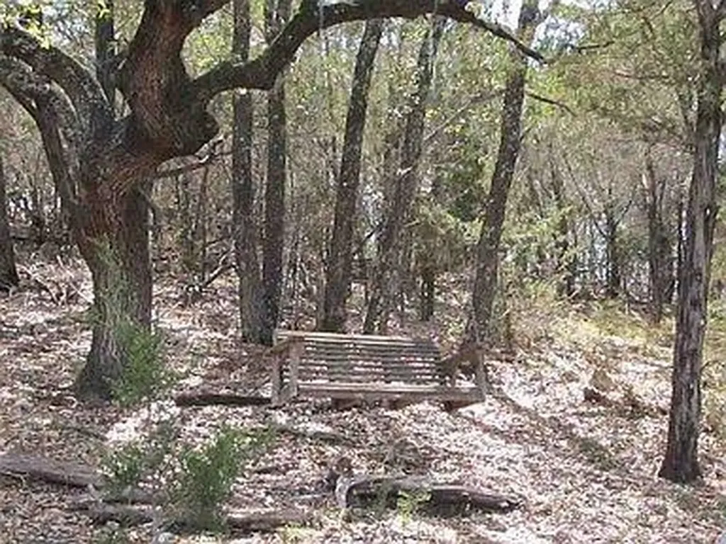 350 Bluff Road Spicewood TX 78669