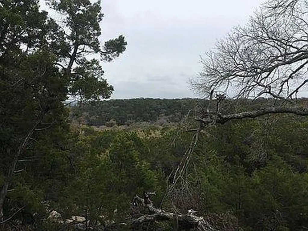 350 Bluff Road Spicewood TX 78669