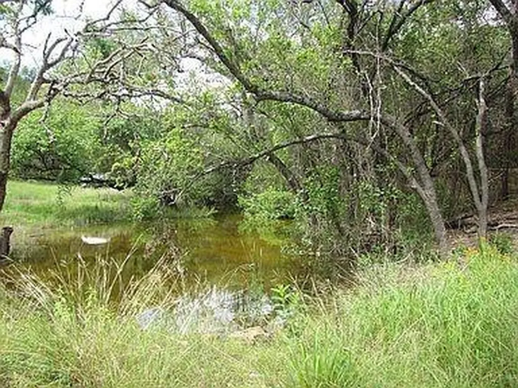 350 Bluff Road Spicewood TX 78669
