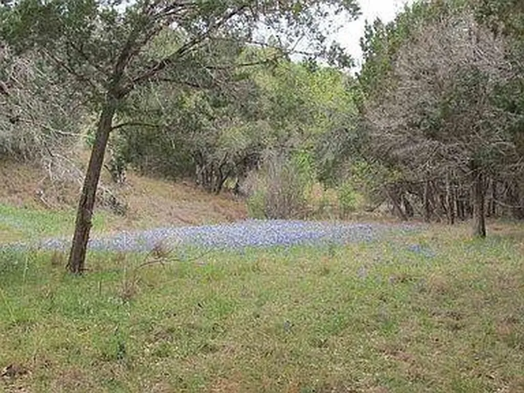 350 Bluff Road Spicewood TX 78669