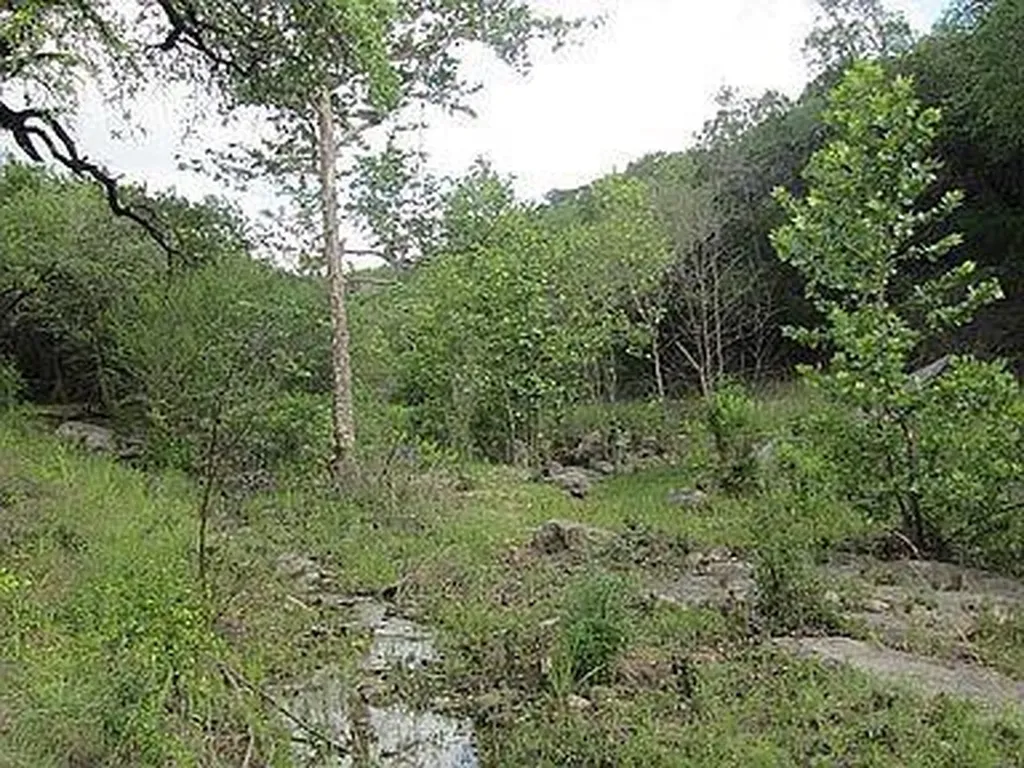 350 Bluff Road Spicewood TX 78669