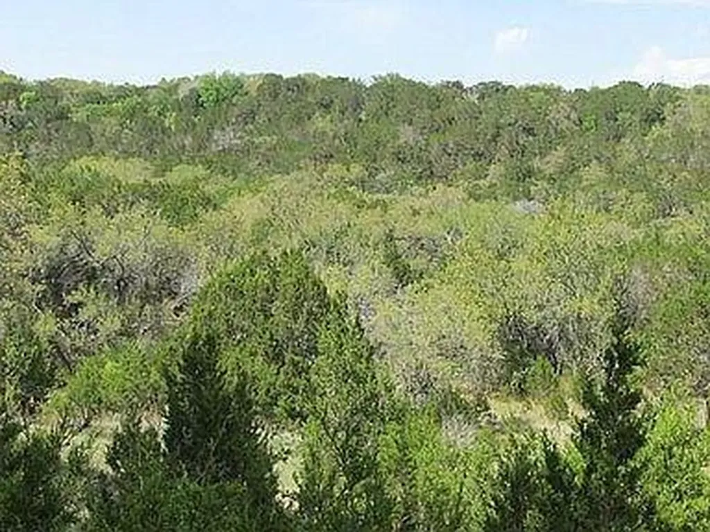 350 Bluff Road Spicewood TX 78669