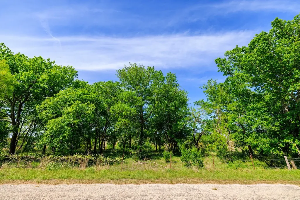 Lot 2 Byrd Ranch Road Johnson City TX 78636
