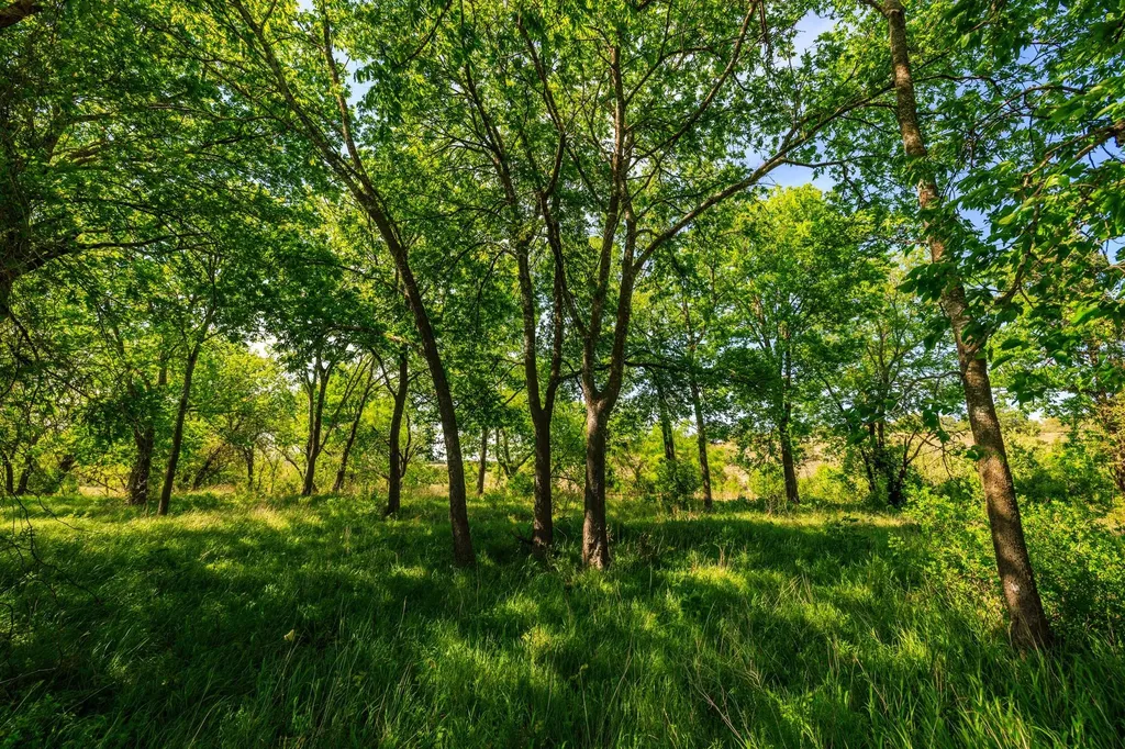Lot 2 Byrd Ranch Road Johnson City TX 78636