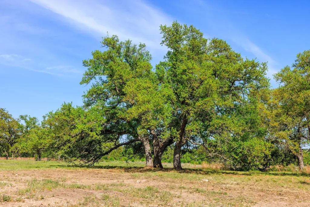 Lot 2 Byrd Ranch Road Johnson City TX 78636