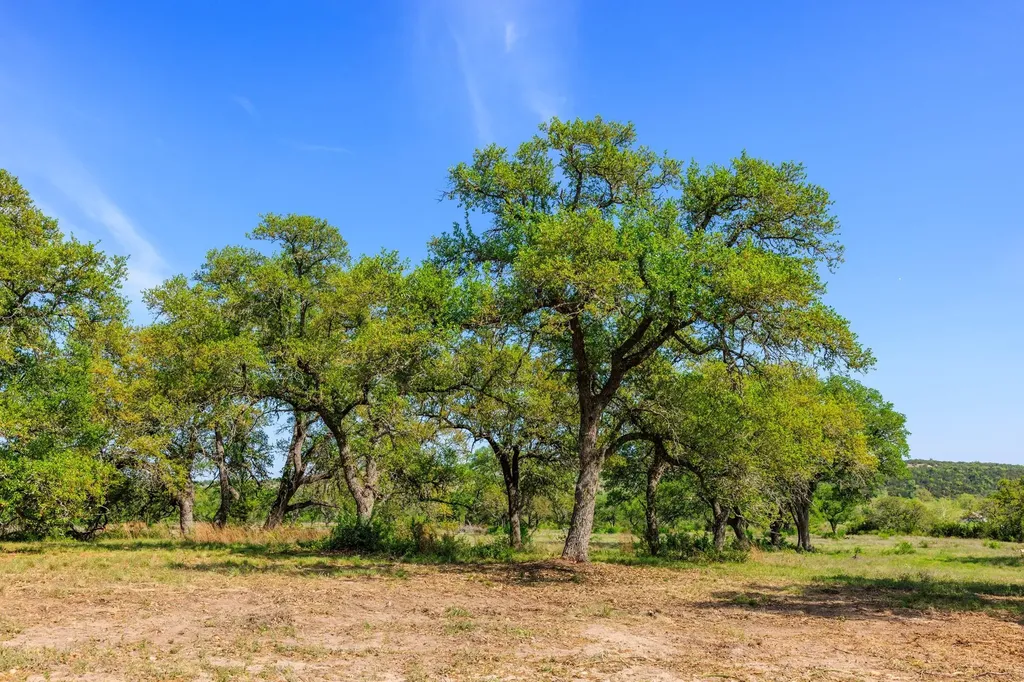 Lot 2 Byrd Ranch Road Johnson City TX 78636