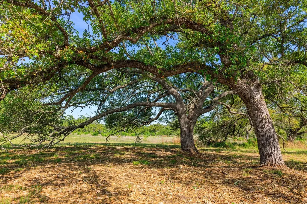 Lot 2 Byrd Ranch Road Johnson City TX 78636