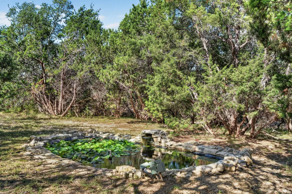 31887 Mirela Ann Lane Dripping Springs TX 78620