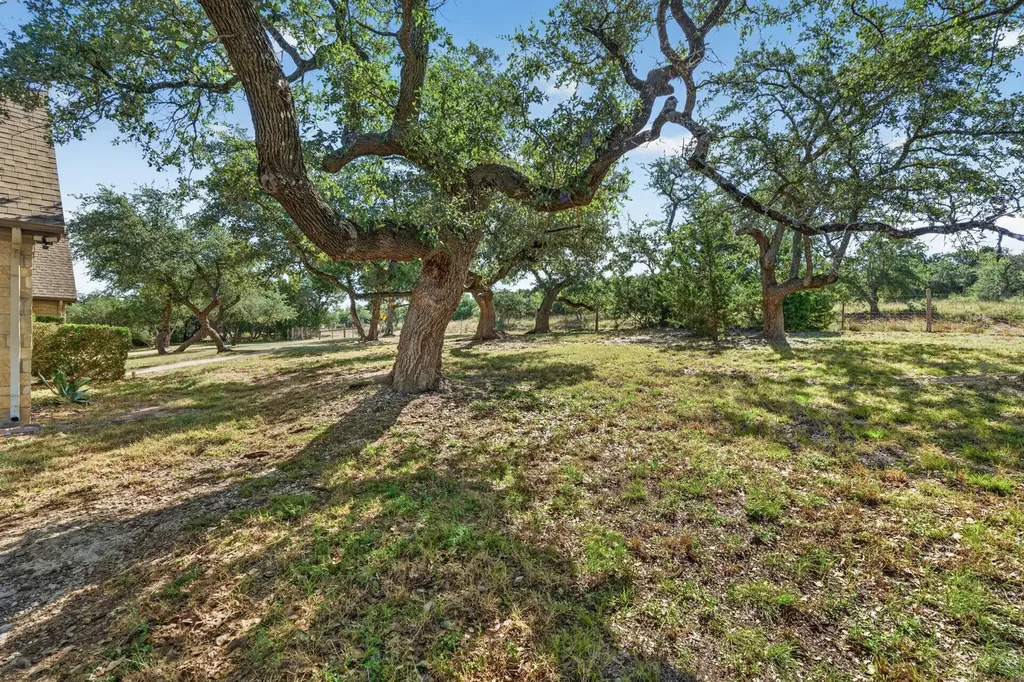 31887 Mirela Ann Lane Dripping Springs TX 78620