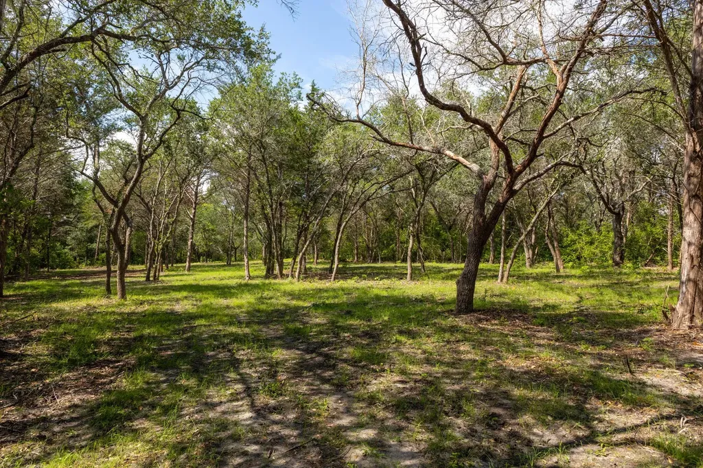 1910 (Tract #1) Baca Loop Flatonia TX 78941