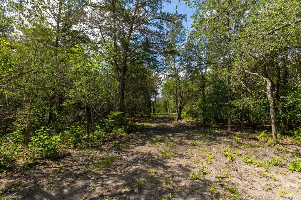 1910 (Tract #1) Baca Loop Flatonia TX 78941