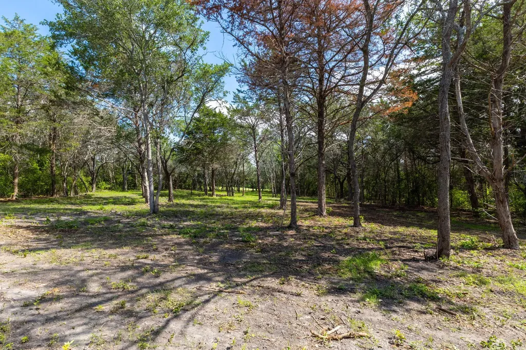 1910 (Tract #1) Baca Loop Flatonia TX 78941
