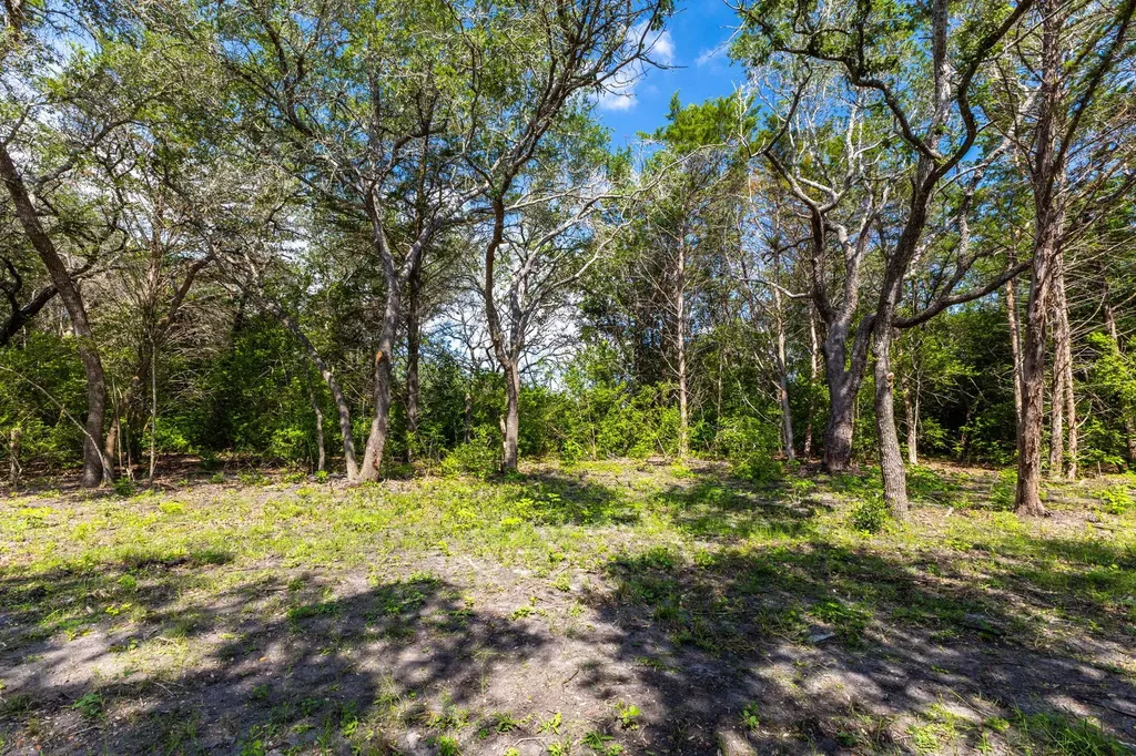 1910 (Tract #1) Baca Loop Flatonia TX 78941