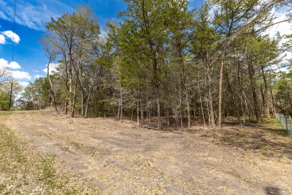 1910 (Tract #1) Baca Loop Flatonia TX 78941