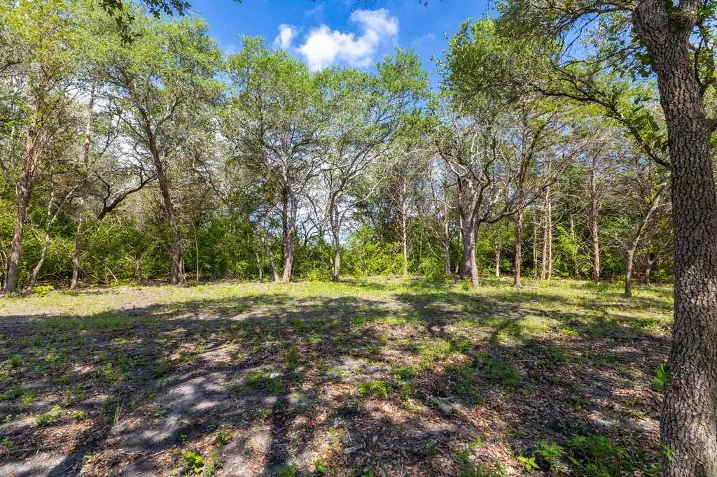 1910 (Tract #1) Baca Loop Flatonia TX 78941