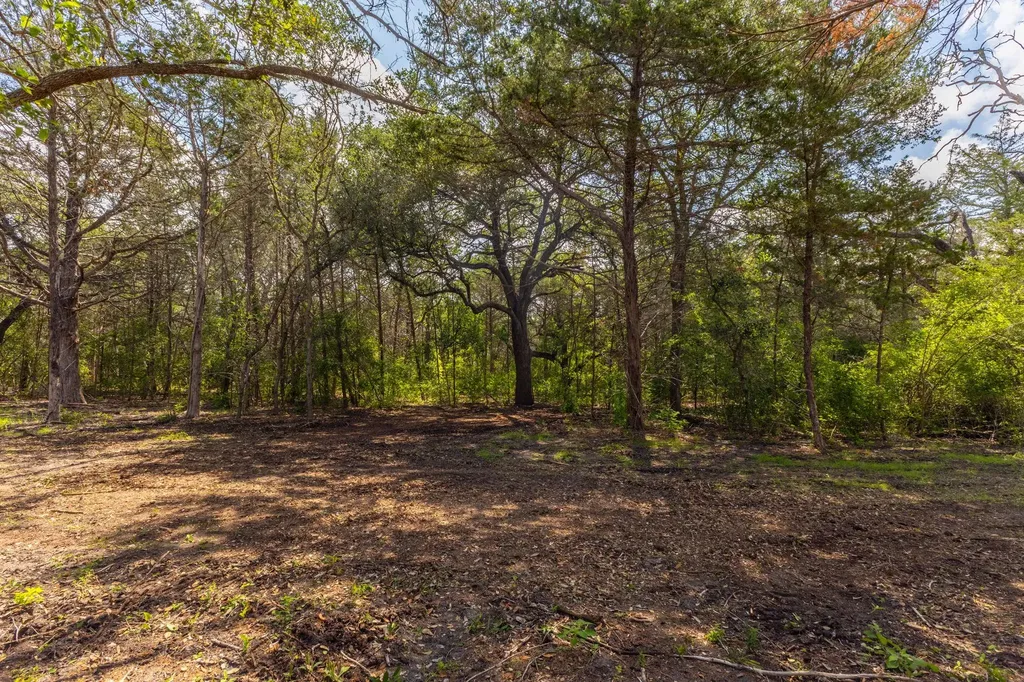 1910 (Tract #1) Baca Loop Flatonia TX 78941
