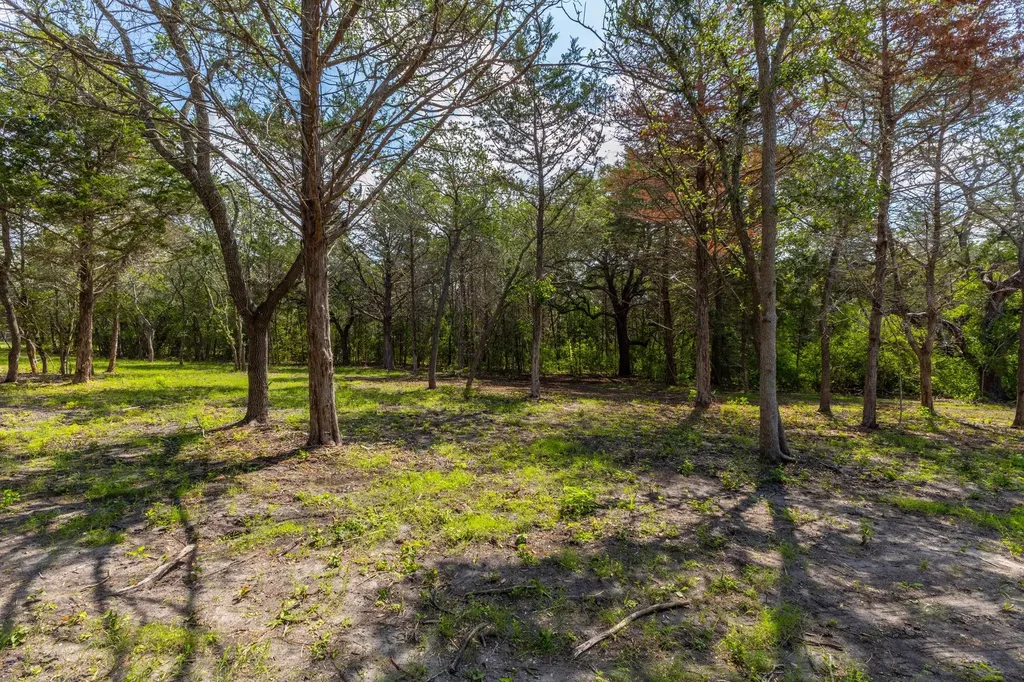 1910 (Tract #1) Baca Loop Flatonia TX 78941