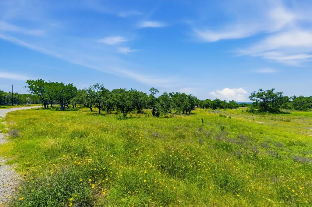 623 Whiskey Trail Blanco TX 78606