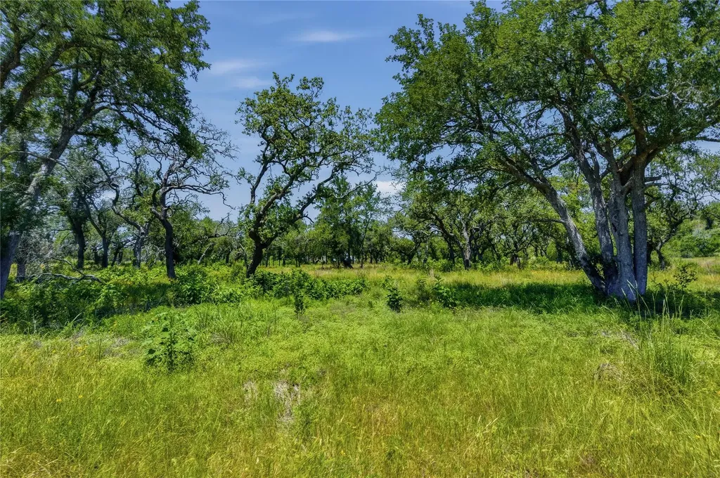 623 Whiskey Trail Blanco TX 78606