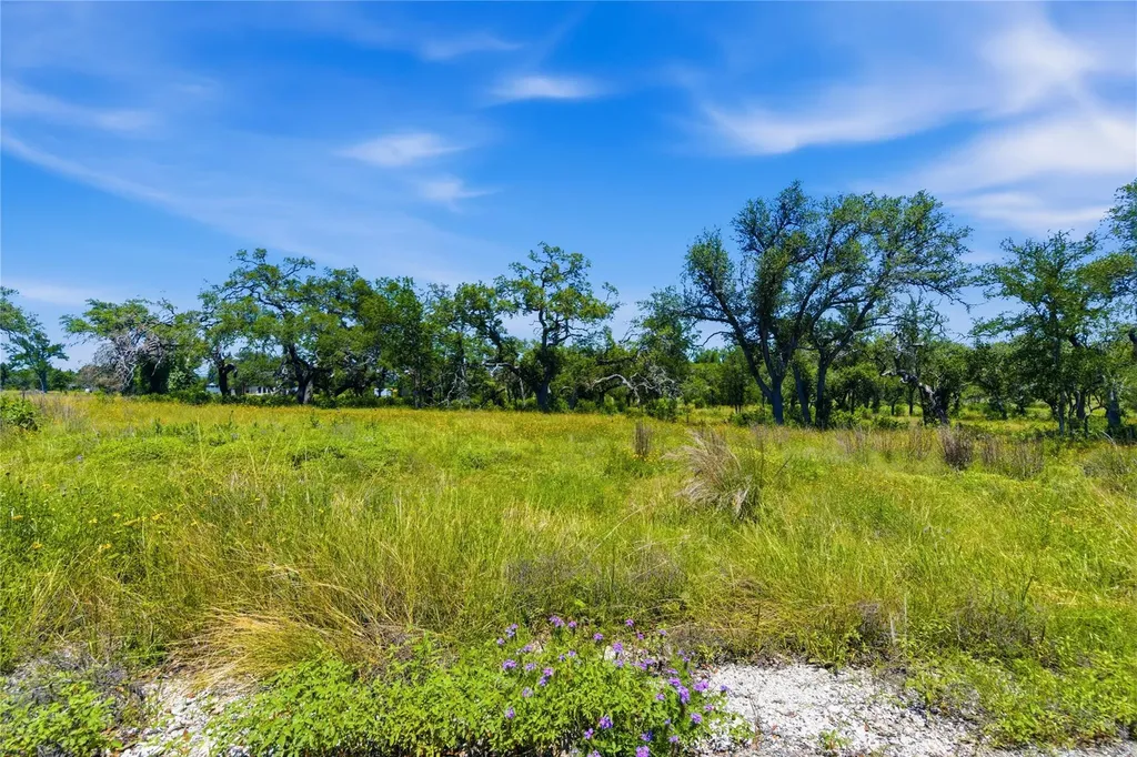 623 Whiskey Trail Blanco TX 78606
