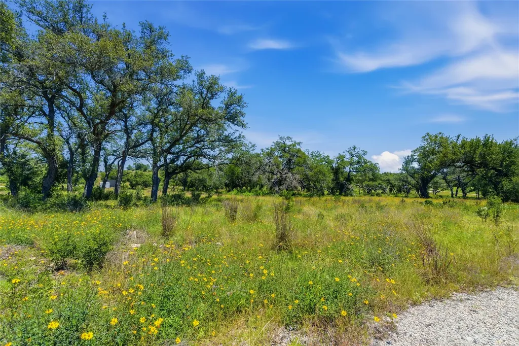 623 Whiskey Trail Blanco TX 78606