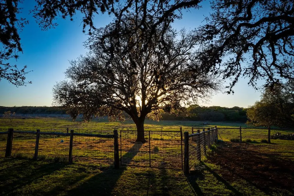 1294 Crabapple Road Blanco TX 78606